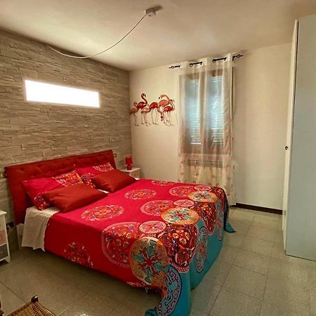 La Casa Colorata Apartment ชิตตา ดิ กัสเตลโล ภายนอก รูปภาพ