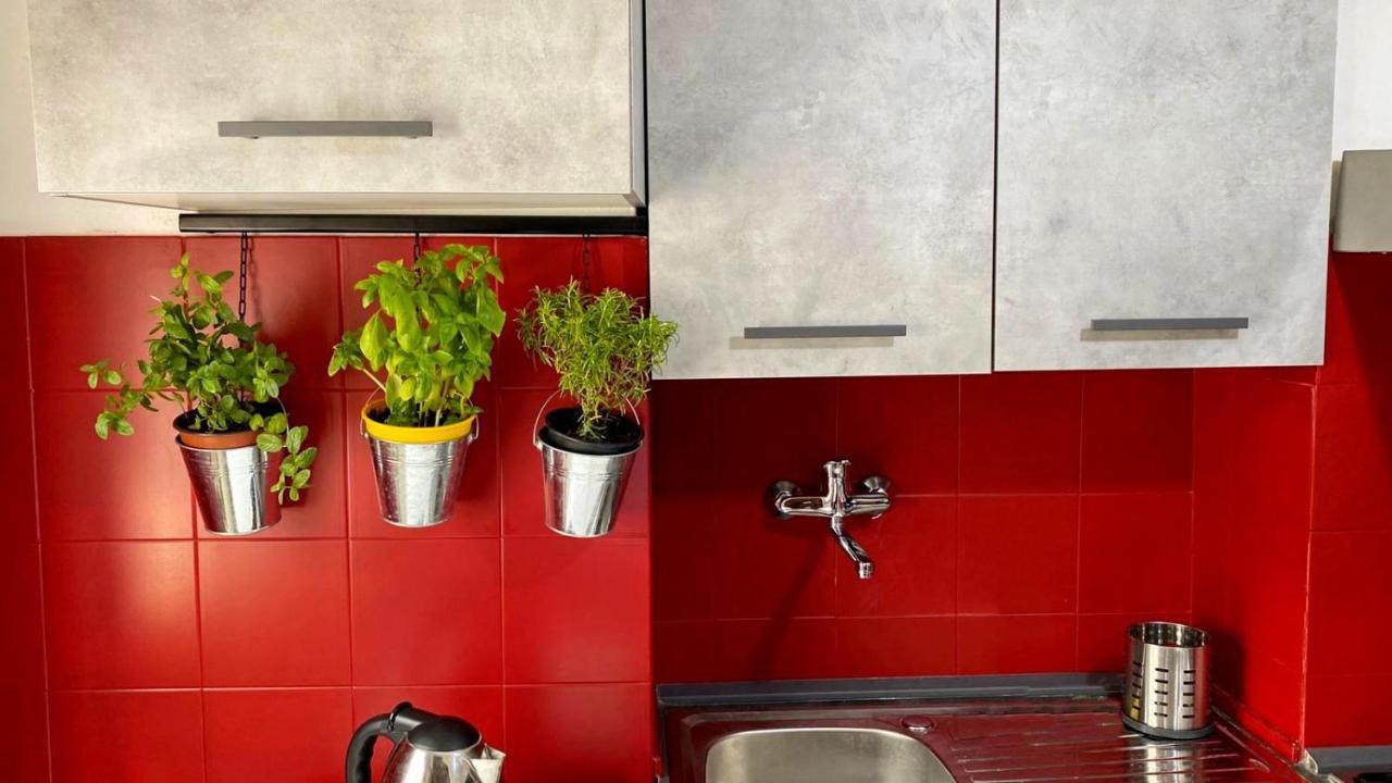 La Casa Colorata Apartment ชิตตา ดิ กัสเตลโล ภายนอก รูปภาพ